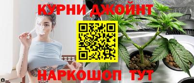 сатива Новоалтайск