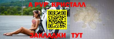 амф Новоалександровск